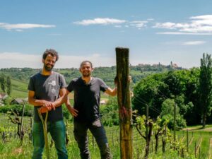 Fischer-Weine-Im Weingarten